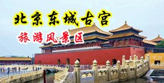 日本女人大黑逼中国北京-东城古宫旅游风景区